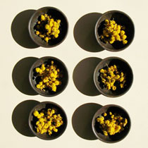 Acacia arrangement