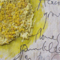 Acacia experimentation