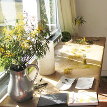 Bundanon studio