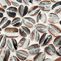 Seed Pods, 94 x 94cm