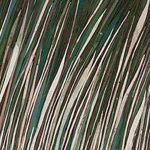 Swaying Sea Grass, 94cm x 124cm